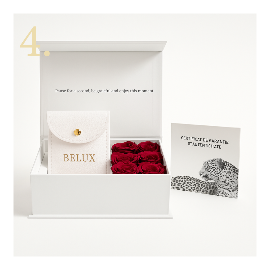 Împachetari Mimilux